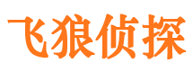 汝阳调查事务所